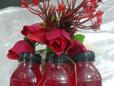 Banho da Sedu��o